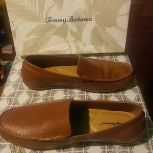 Tommy Bahama shoe